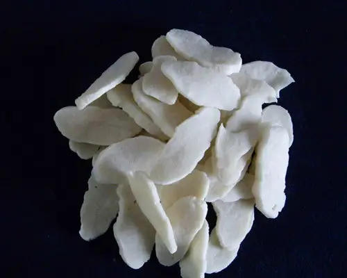 Chloroprene Rubber Cr244